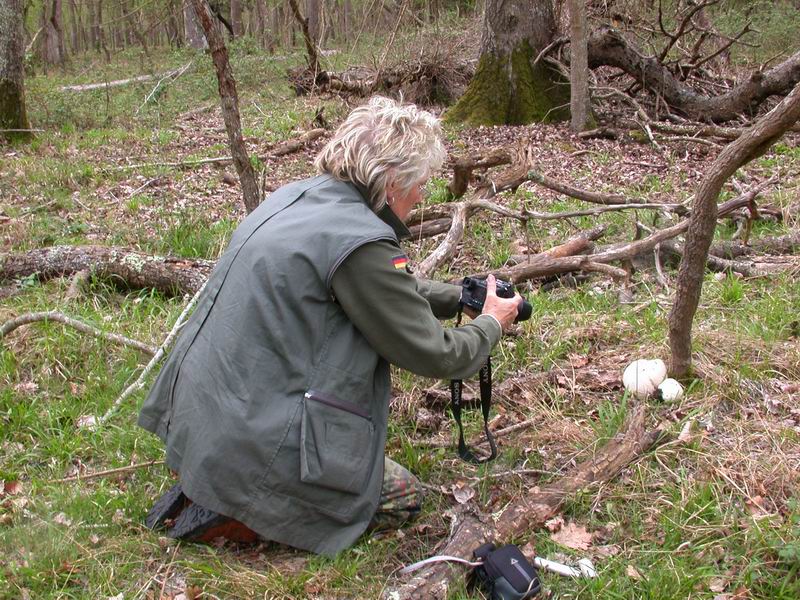 Mycoflora  toscana - Che grande soddisfazione....